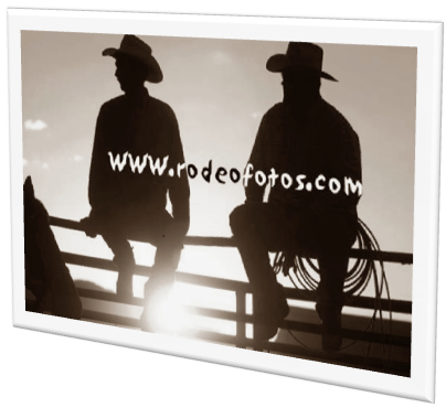 Rodeo Fotos