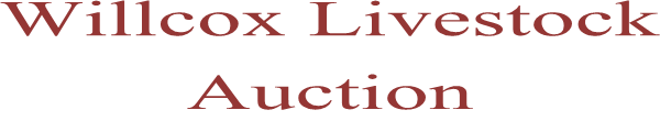 Willcox Livestock Auction